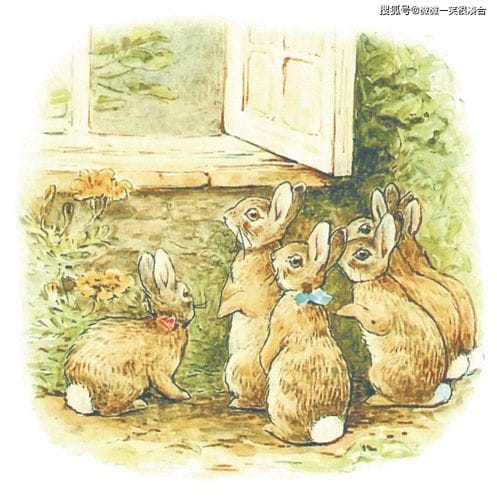 兔子坡（兔子坡全部朗读）